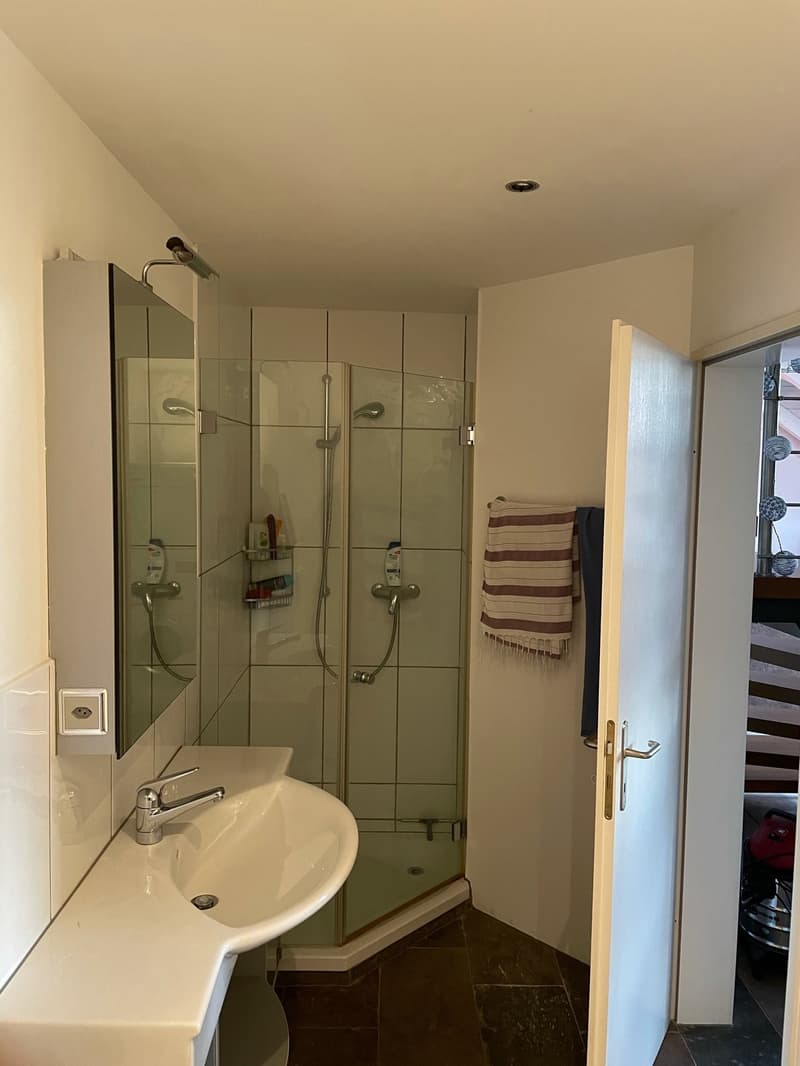 3 1/2-Zimmer-Maisonette-Wohnung mit traumhafter Aussicht (12)