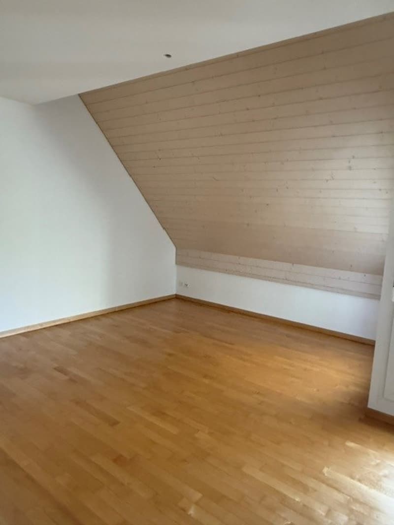 Grosszügige Maisonette-Wohnung im Grünen gelegen (14)