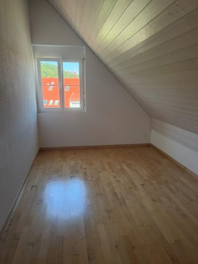 Grosszügige Maisonette-Wohnung im Grünen gelegen (20)