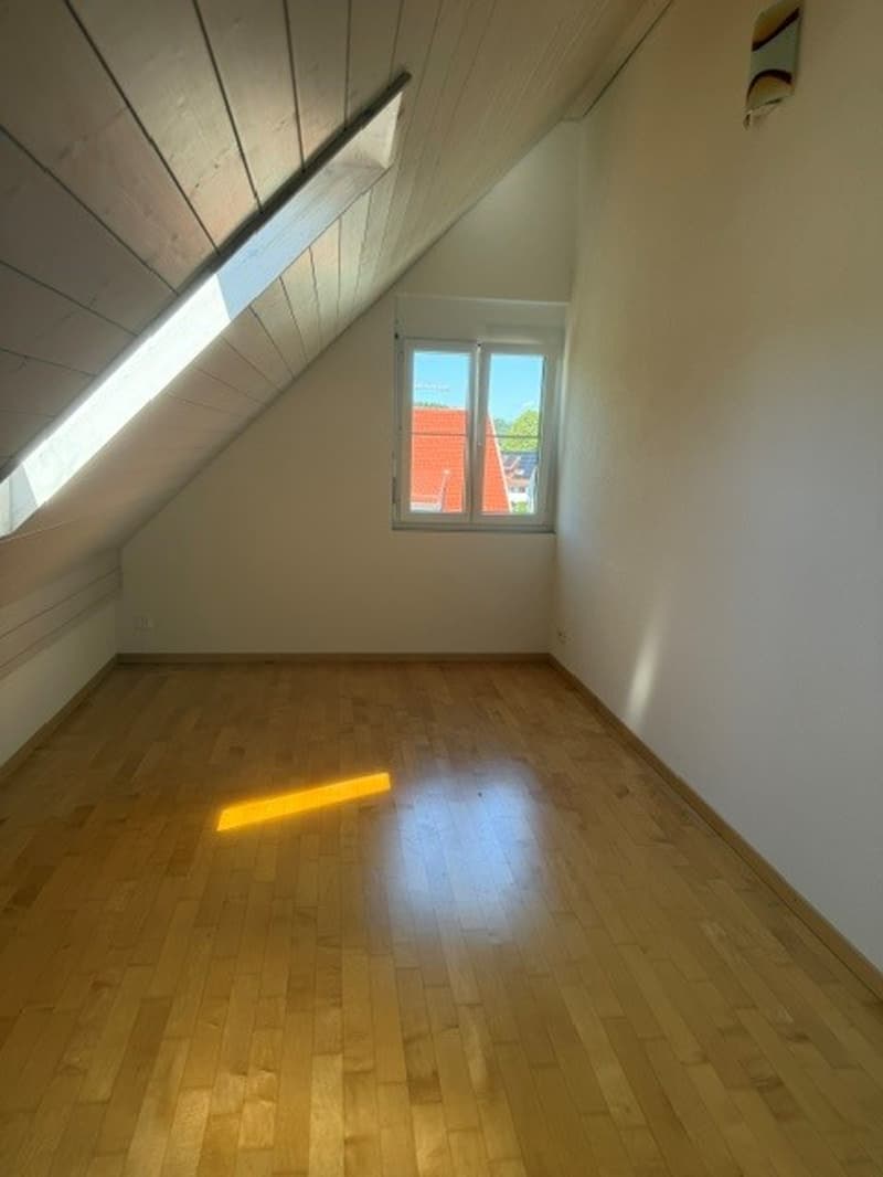 Grosszügige Maisonette-Wohnung im Grünen gelegen (19)