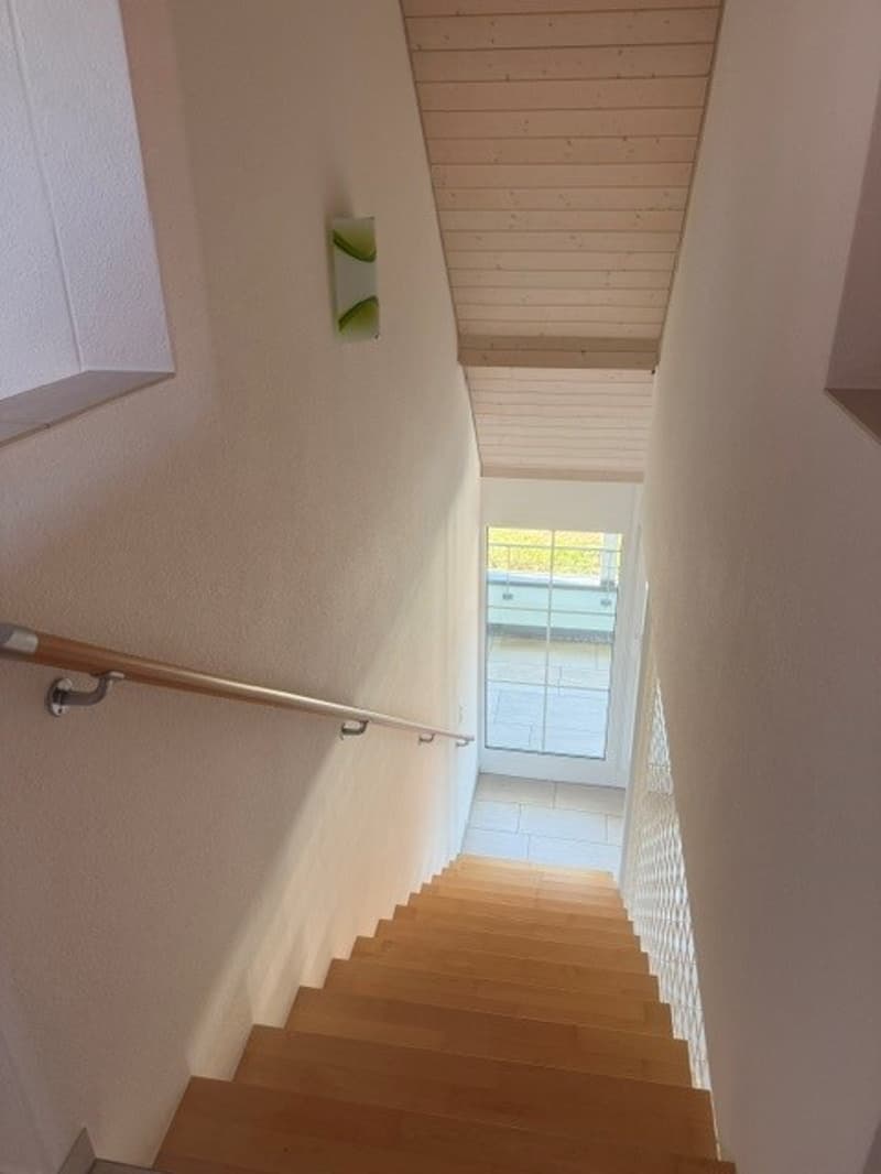 Grosszügige Maisonette-Wohnung im Grünen gelegen (18)