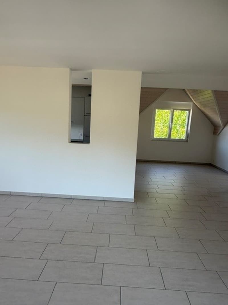 Grosszügige Maisonette-Wohnung im Grünen gelegen (7)