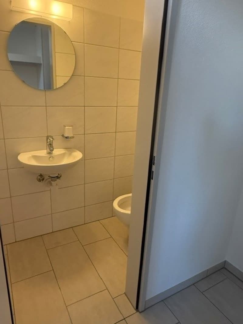 Grosszügige Maisonette-Wohnung im Grünen gelegen (16)