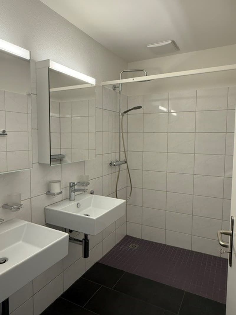 Grosszügige Maisonette-Wohnung im Grünen gelegen (15)