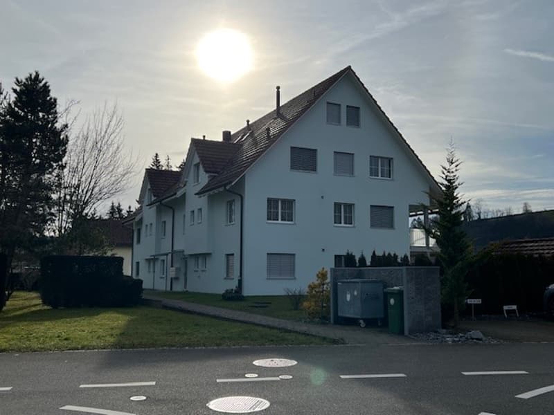Grosszügige Maisonette-Wohnung im Grünen gelegen (1)