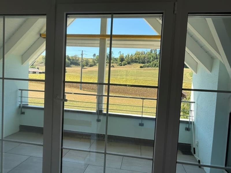 Grosszügige Maisonette-Wohnung im Grünen gelegen (9)