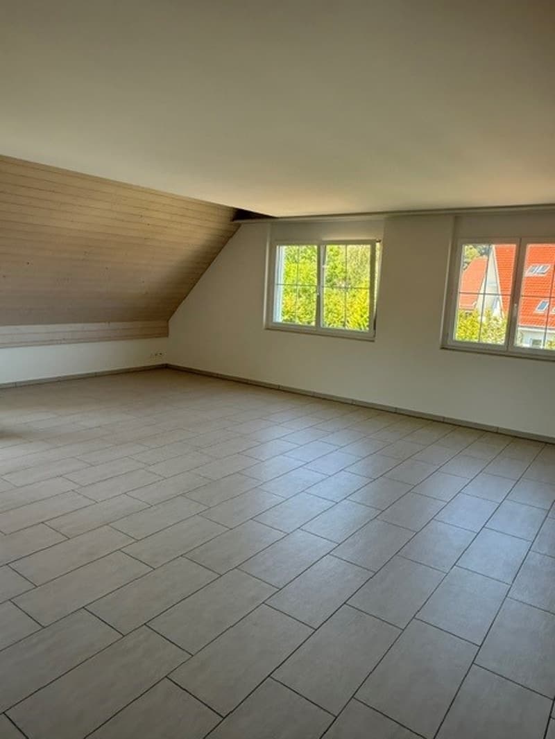 Grosszügige Maisonette-Wohnung im Grünen gelegen (5)