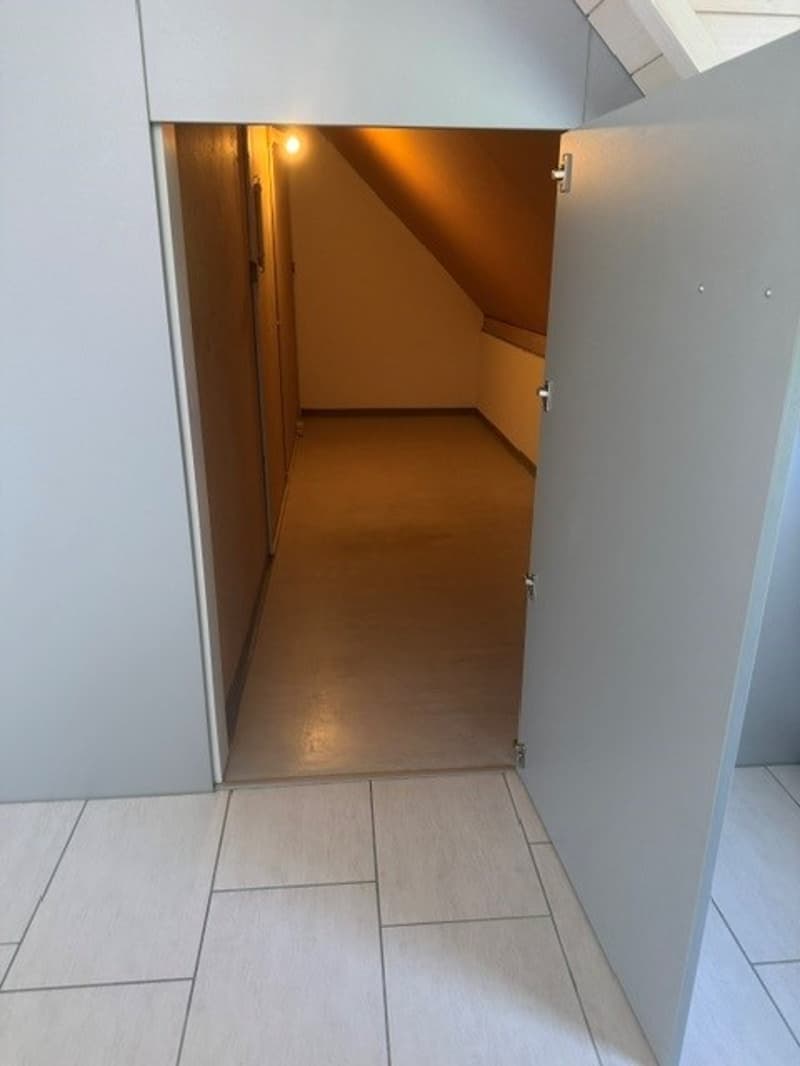 Grosszügige Maisonette-Wohnung im Grünen gelegen (13)