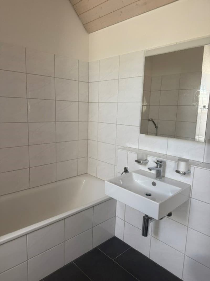 Grosszügige Maisonette-Wohnung im Grünen gelegen (22)