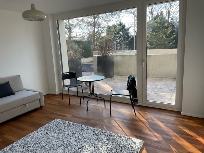 schönes Studio, ideal für Wochenaufenthalter (2)