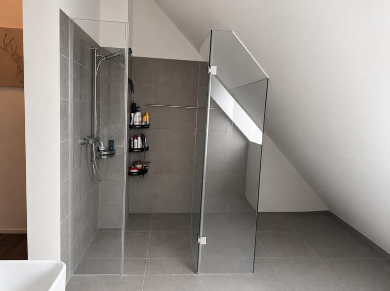 Appartamento maisonette con terrazza (9)