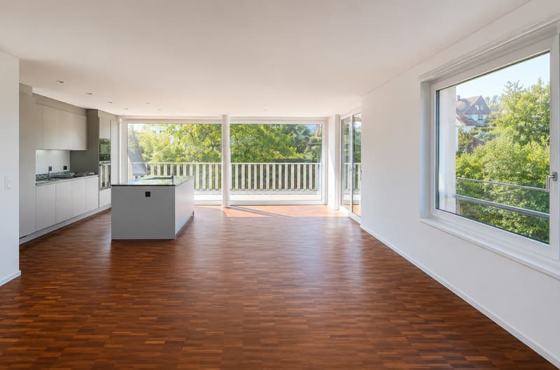 Appartamento maisonette con terrazza (3)