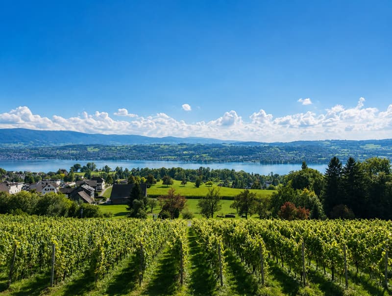 Charmant appartement 3.5 pièces avec vue panoramique à Uetikon am See (6)