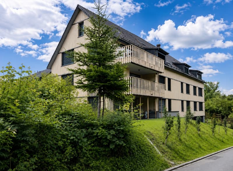Charmant appartement maisonnette avec terrasse ensoleillée (2)