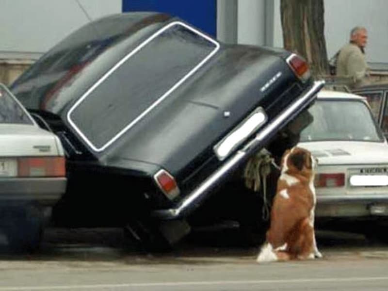 Parcheggi in affitto (1)