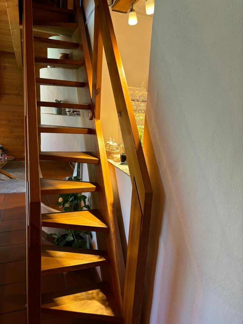 heimelige 3 Zimmerwohnung an zentraler Lage (8)