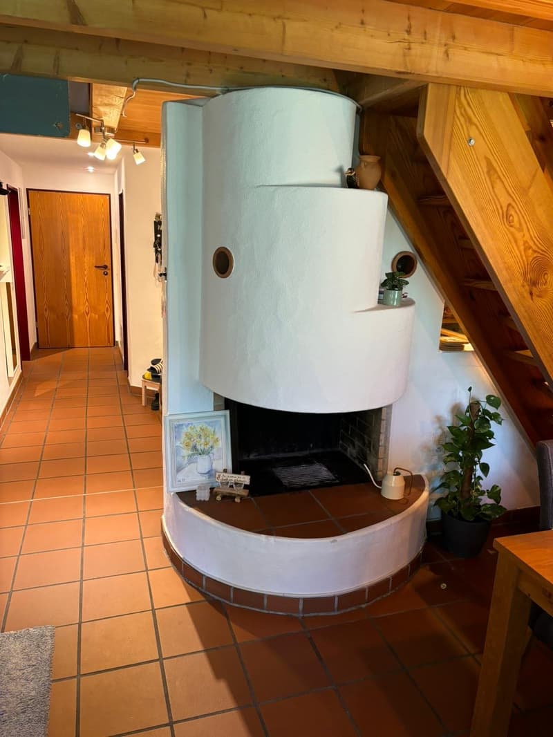 heimelige 3 Zimmerwohnung an zentraler Lage (3)