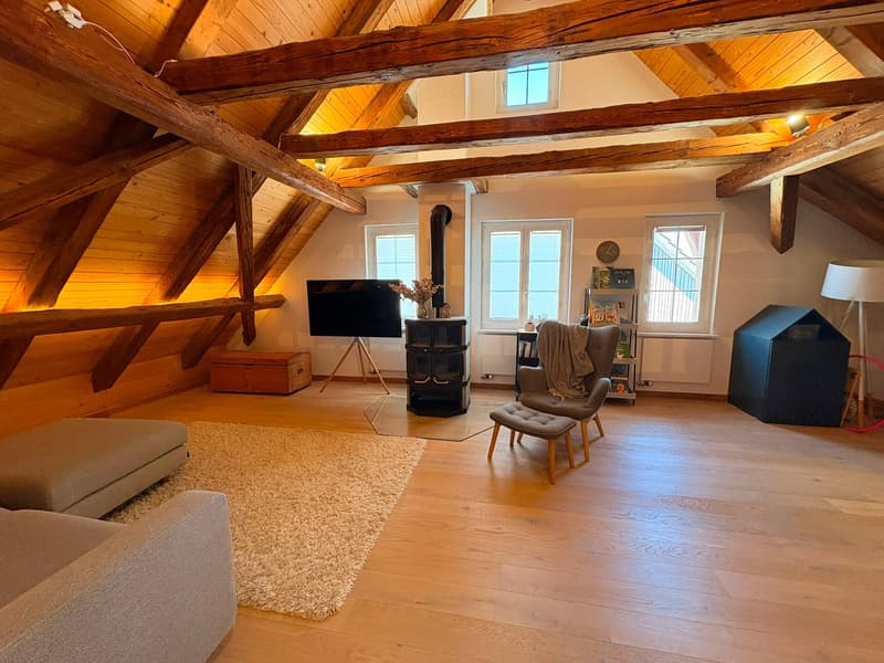 Wunderschöne Maisonettewohnung, Eigentumsstandard (10)