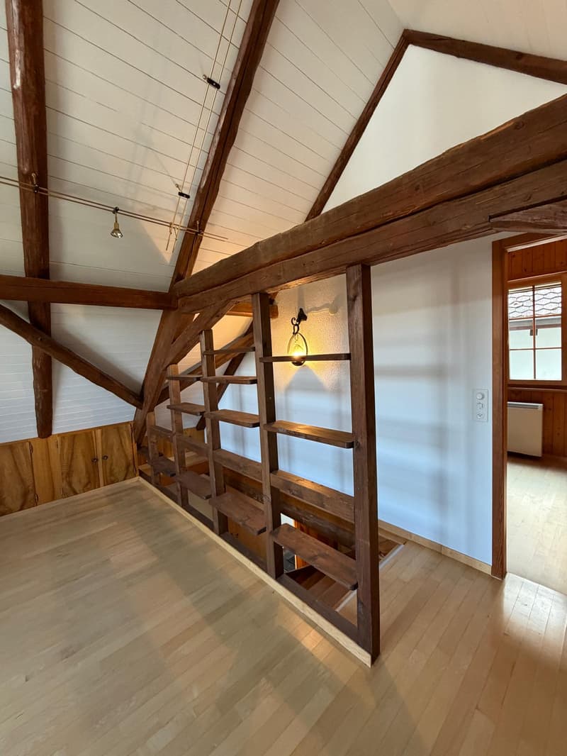 Casa familiare affascinante a distanza di passeggiata dal Reno (7)