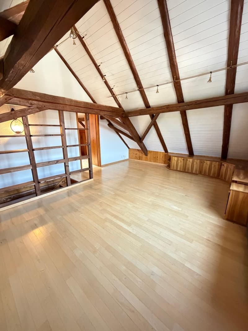 Casa familiare affascinante a distanza di passeggiata dal Reno (6)
