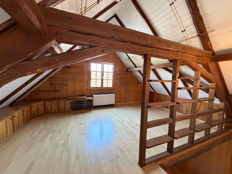 Casa familiare affascinante a distanza di passeggiata dal Reno (5)