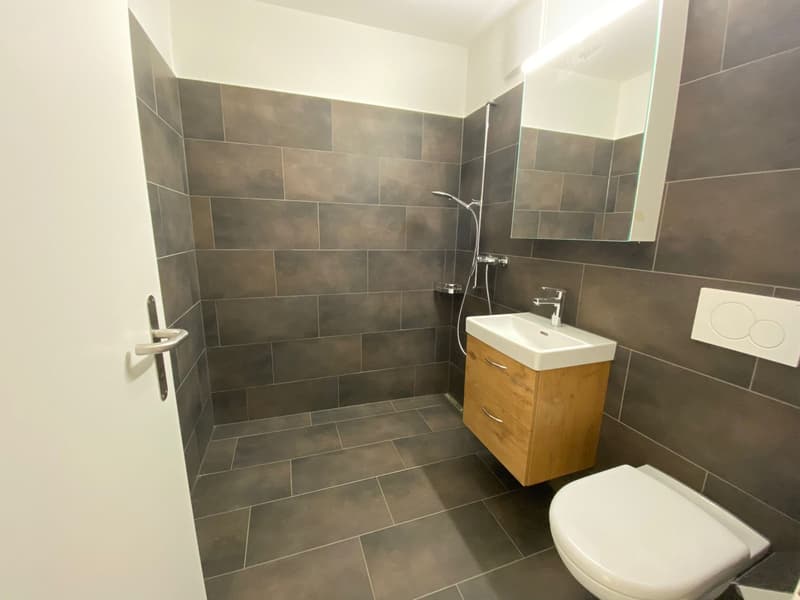 3 1/2 Zimmerwohnung in gepflegtem Wohnhaus (3)