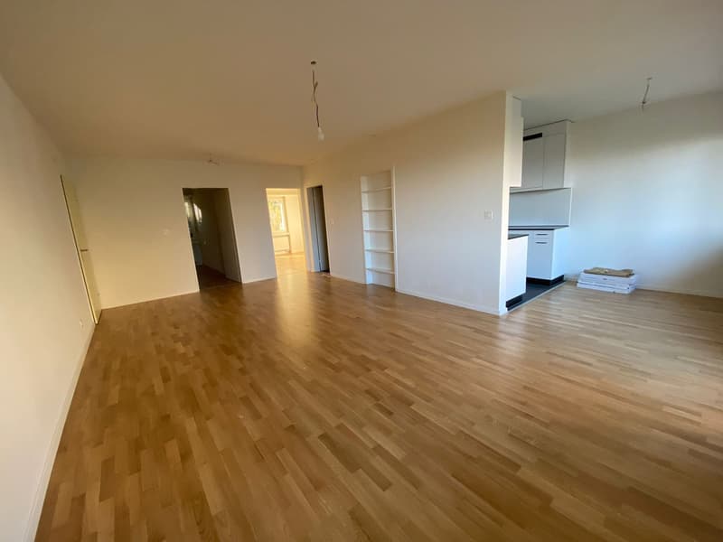 3 1/2 Zimmerwohnung in gepflegtem Wohnhaus (8)