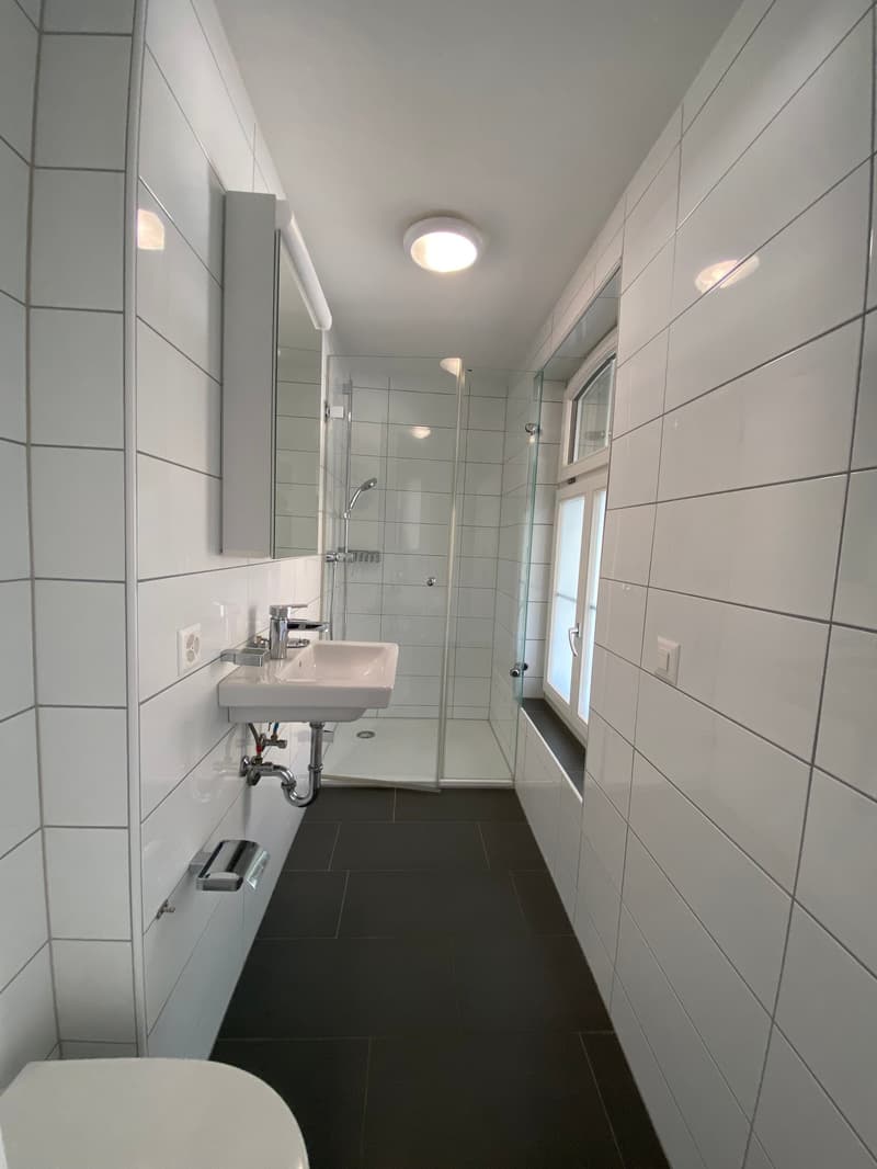Gemütliche 5-1/2 Zimmerwohnung (10)