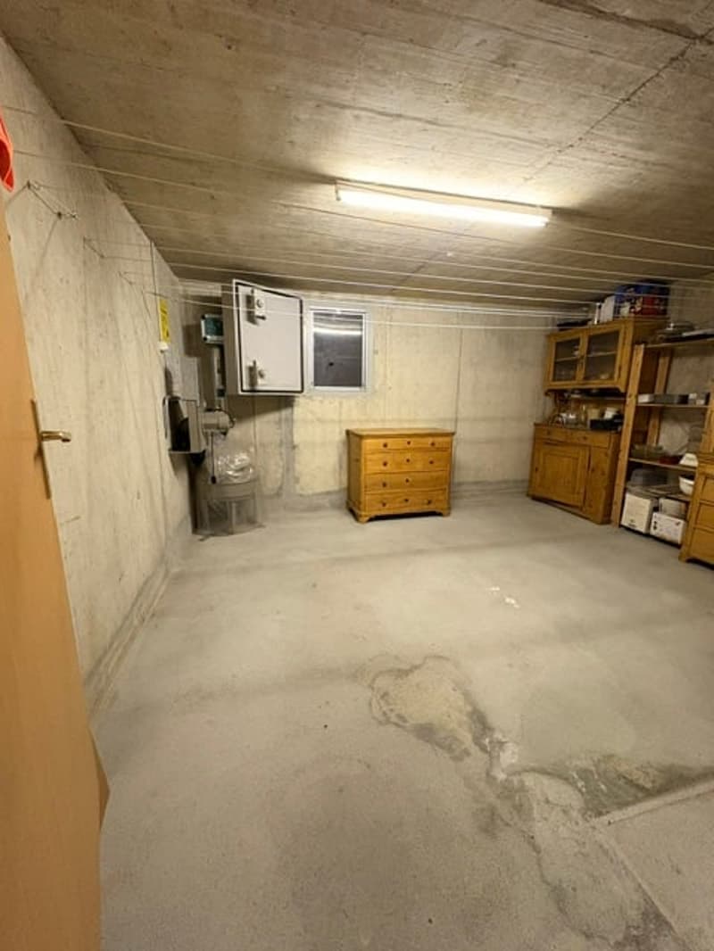5 1/2 Zimmer Reihenhaus mit grossem Garten (25)