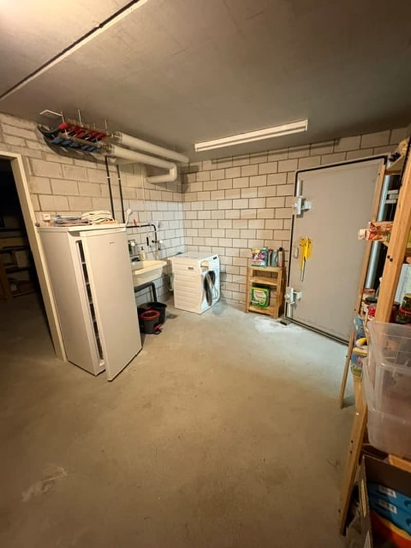 5 1/2 Zimmer Reihenhaus mit grossem Garten (26)