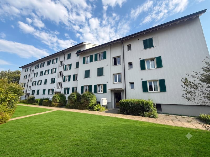 Helle 3.0-Zimmer-Wohnung in ruhigem Quartier ab sofort verfügbar (1)