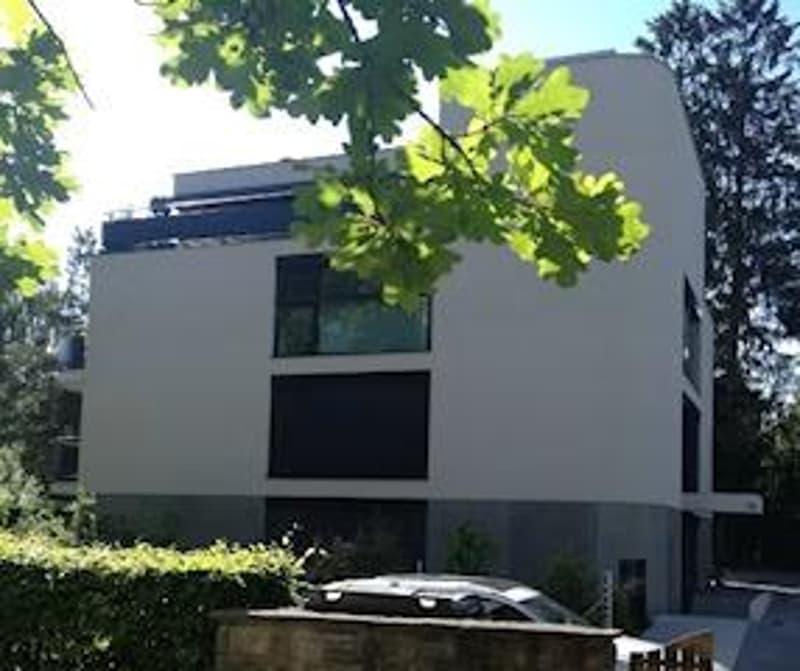 4.5-Zimmer-Wohnung mit grosser Terrasse im beliebten Allenmoosquartier (6)