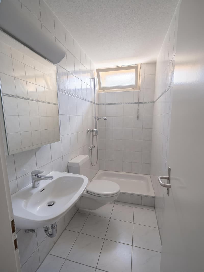 Charmante 1.5-Zimmer-Wohnung mit verglaster Veranda an zentraler Lage in Winterthur (3)
