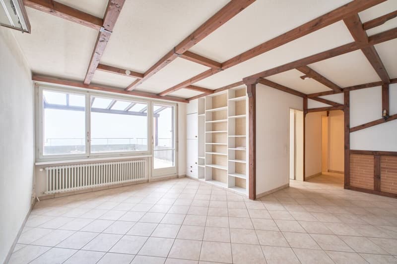 Terrassenwohnung beim Triemli mit fantastischem Ausblick (2)