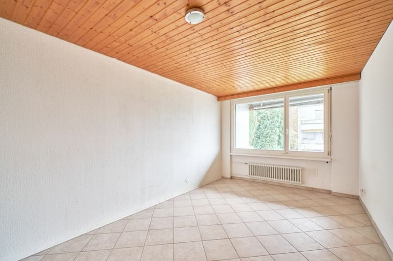 Terrassenwohnung beim Triemli mit fantastischem Ausblick (4)