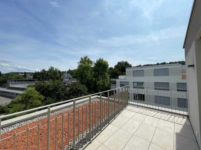 Appartamento attico esclusivo di 4,5 locali con terrazza sul tetto a Zurigo Affoltern (7)