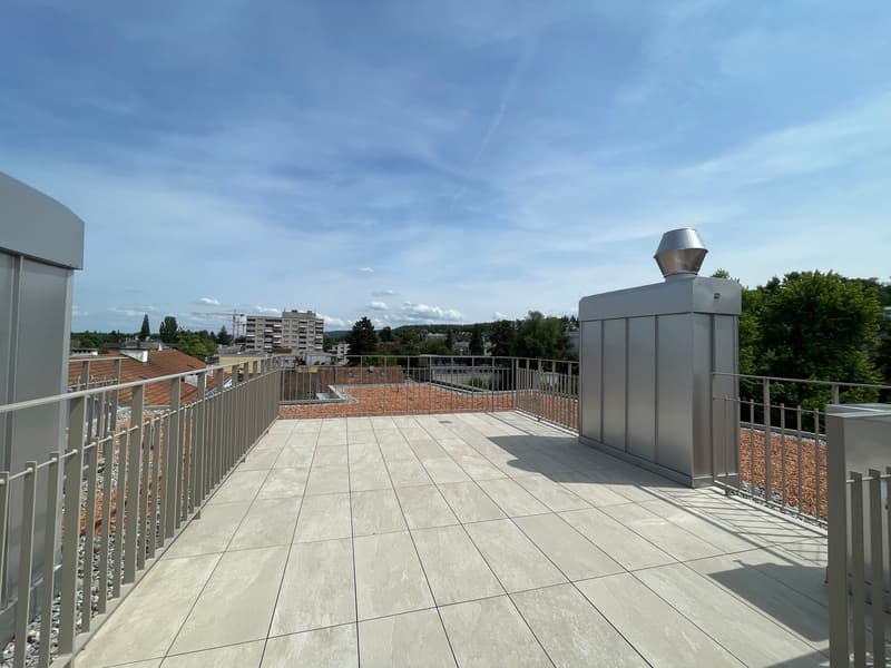 Appartamento attico esclusivo di 4,5 locali con terrazza sul tetto a Zurigo Affoltern (8)