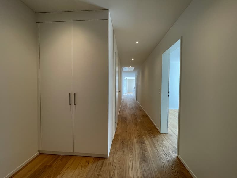 Appartamento attico esclusivo di 4,5 locali con terrazza sul tetto a Zurigo Affoltern (5)