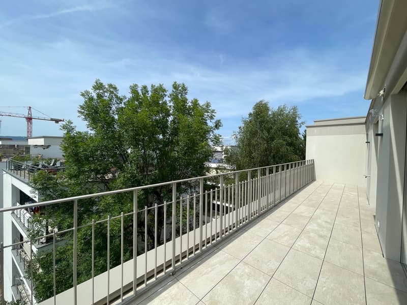 Appartamento attico esclusivo di 4,5 locali con terrazza sul tetto a Zurigo Affoltern (9)