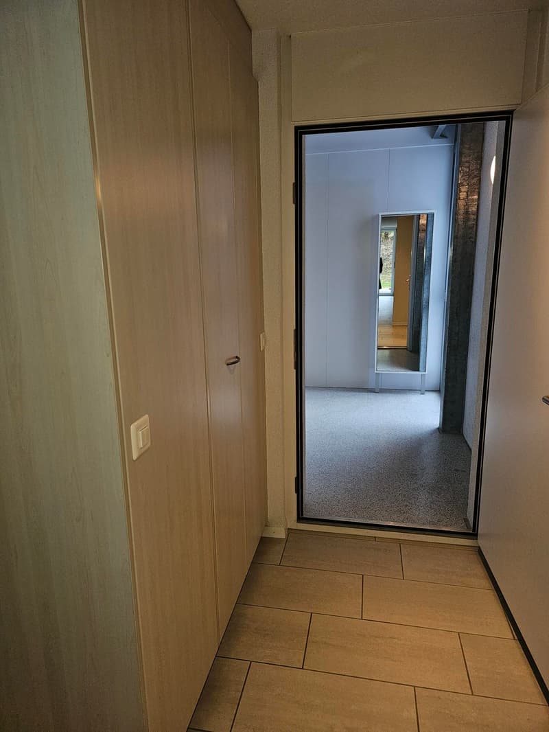 Appartement lumineux 3.5 pièces avec jardin d'hiver et espace de jardin à Gockhausen (12)