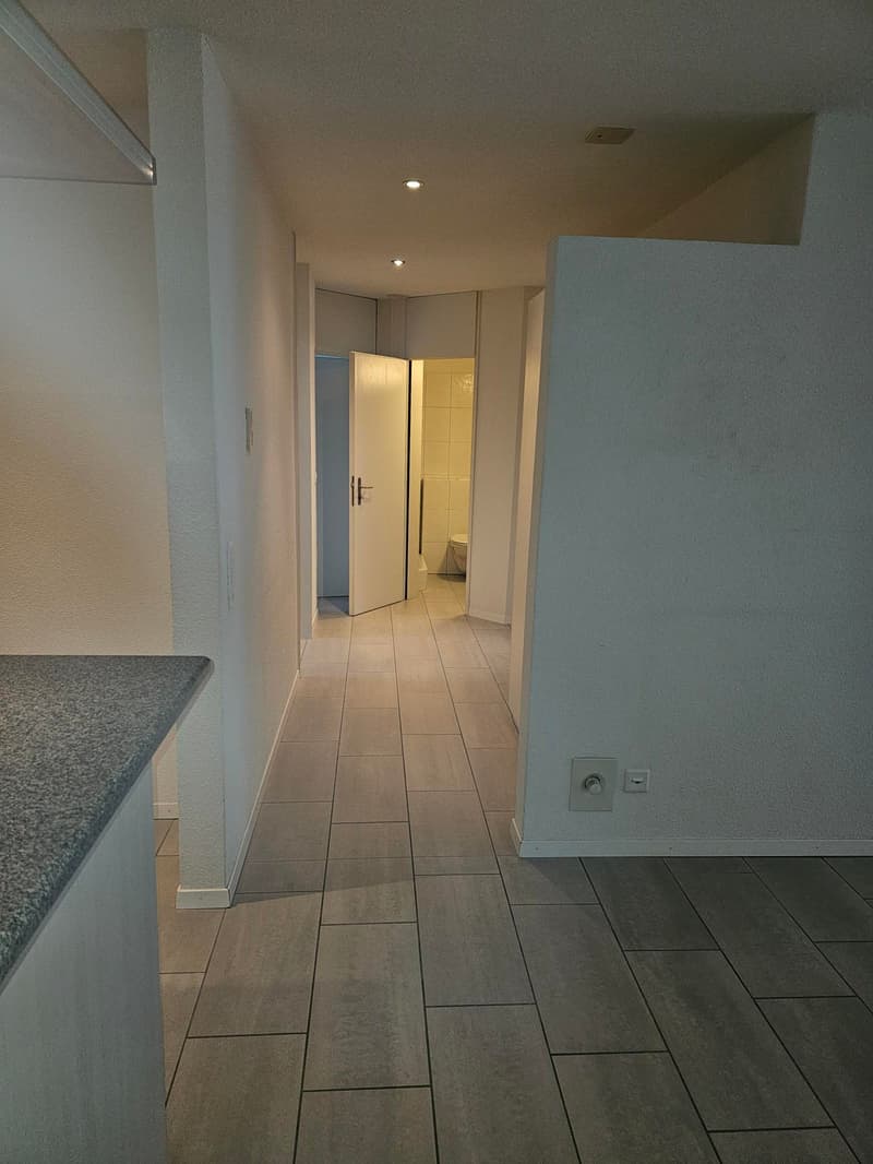 Appartement lumineux 3.5 pièces avec jardin d'hiver et espace de jardin à Gockhausen (6)