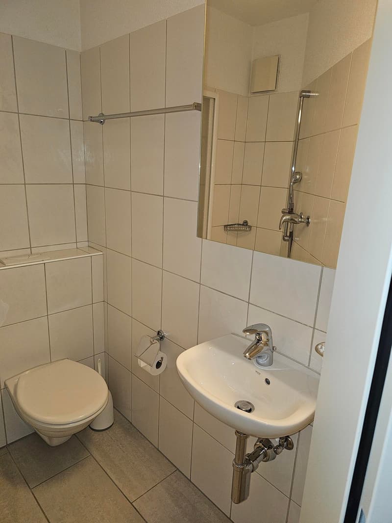Appartement lumineux 3.5 pièces avec jardin d'hiver et espace de jardin à Gockhausen (9)