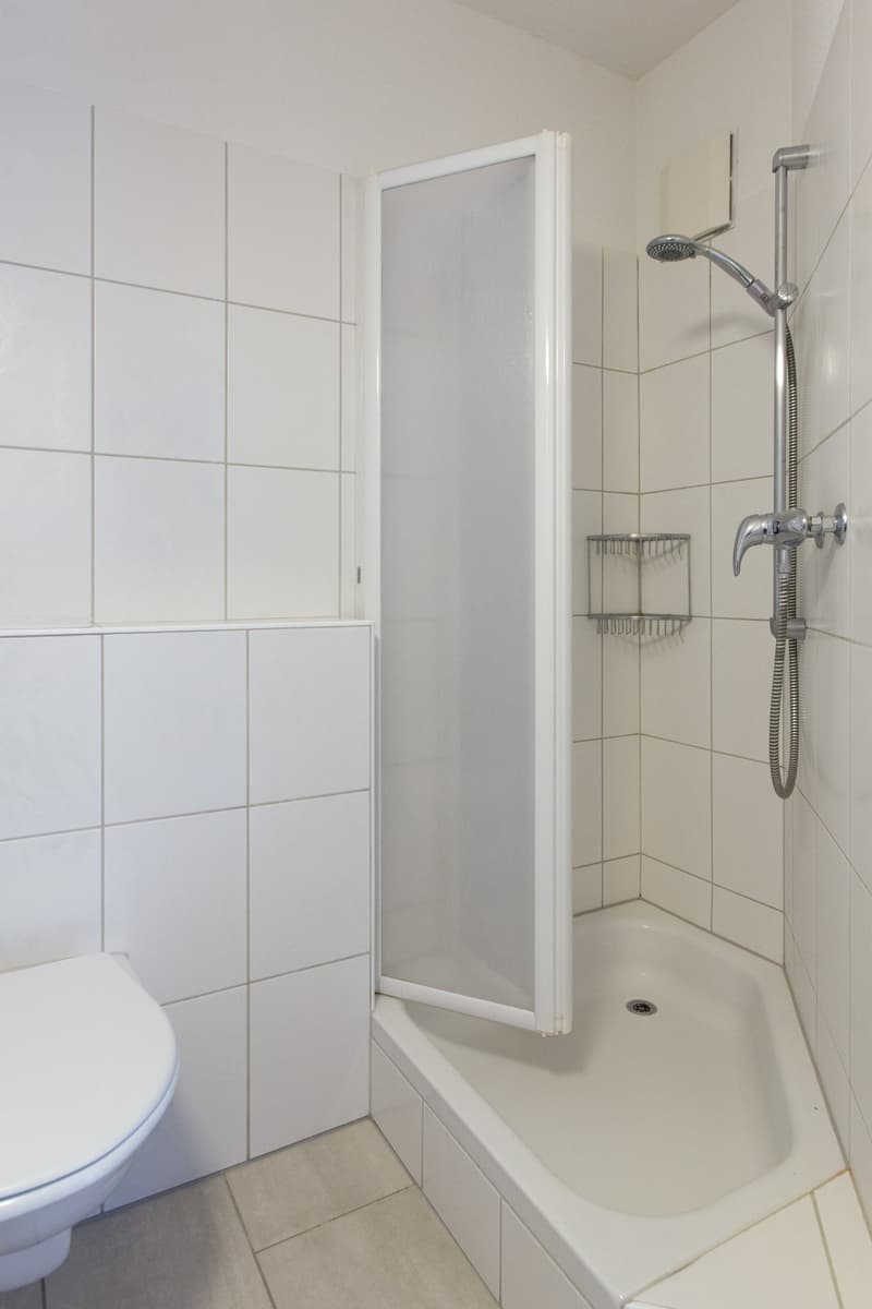 Appartement lumineux 3.5 pièces avec jardin d'hiver et espace de jardin à Gockhausen (10)