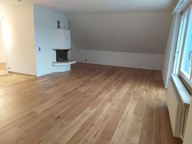 Charmant appartement de 4 pièces au dernier étage avec vue sur le lac à Küsnacht ZH (5)