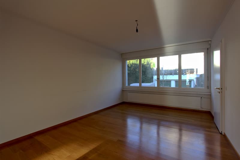 Grosszügige 5.5-Zimmer-Wohnung mit Panoramablick (5)