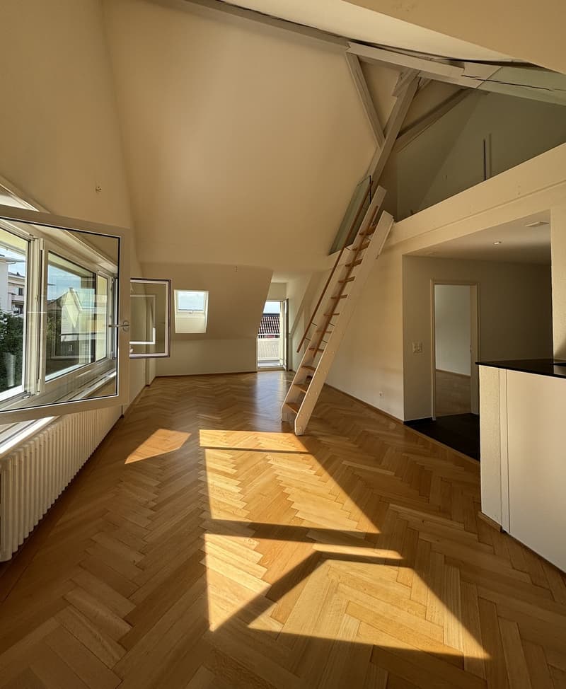 Appartement avec vue sur le lac de rêve avec deux balcons (1)