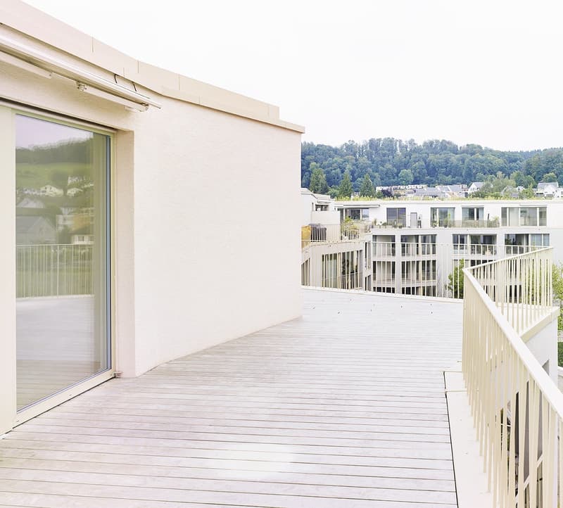 Modern 2.5-room terrace apartment with a view in Bonstetten (5)