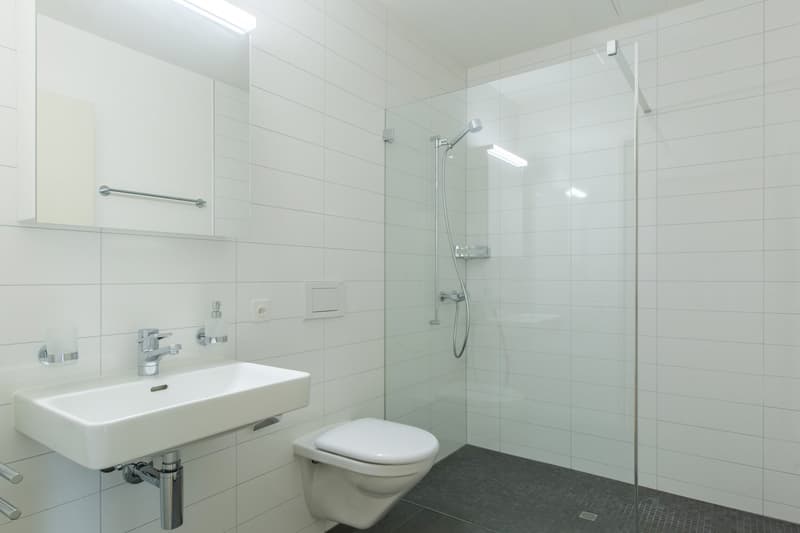 Modern 2.5-room terrace apartment with a view in Bonstetten (3)