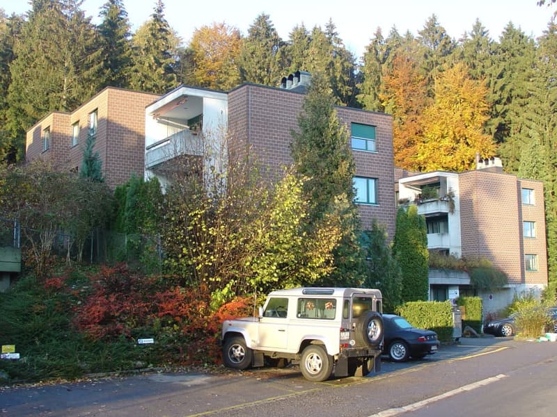 ...sonnige Liegenschaft in der Nähe des Waldes