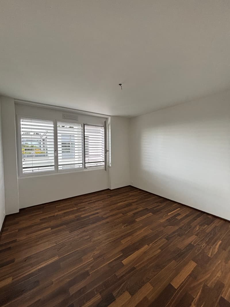 Helle 4.5-Zimmer-Wohnung mit Balkon an ruhiger Lage in Zürich 8044 (5)